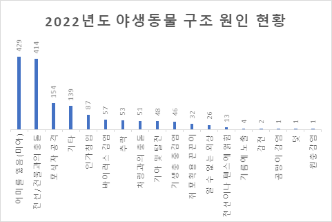 이미지1