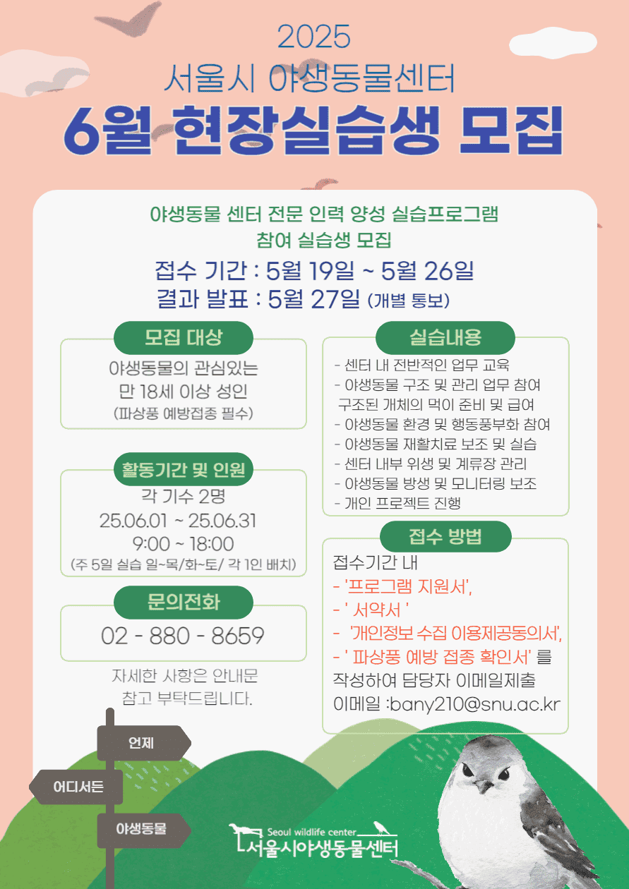 실습